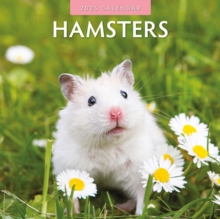 Hamsters 2025 Square Wall Calendar