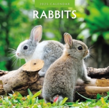 Rabbits 2025 Square Wall Calendar