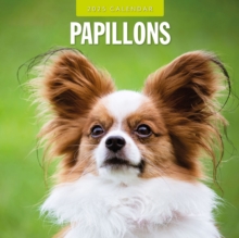 Papillions 2025 Square Wall Calendar