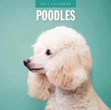 Poodles 2025 Square Wall Calendars