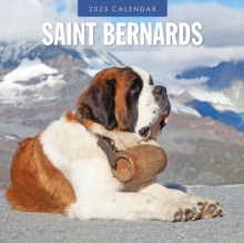 Saint Bernards 2025 Square Wall Calendar