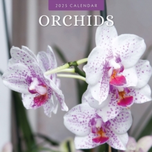 Orchids 2025 Square Wall Calendar