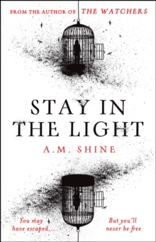 Stay in the Light : the chilling sequel to The Watchers, now a major motion picture