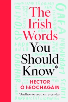 The Irish Words You Should Know