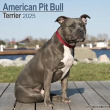 American Pit Bull Terrier Calendar 2025 Square Dog Breed Wall Calendar - 16 Month