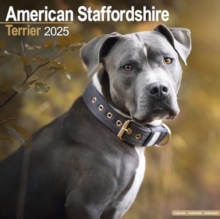 American Staffordshire Terrier Calendar 2025 Square Dog Breed Wall Calendar - 16 Month