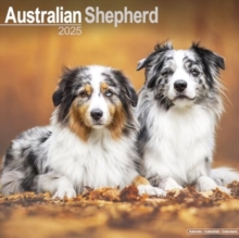 Australian Shepherd Calendar 2025 Square Dog Breed Wall Calendar - 16 Month