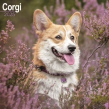 Corgis Square Wall Calendar 2025