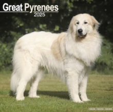 Great Pyrenees Calendar 2025 Square Dog Breed Wall Calendar - 16 Month