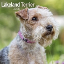 Lakeland Terrier Calendar 2025 Square Dog Breed Wall Calendar - 16 Month