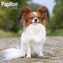 Papillon Calendar 2025 Square Dog Breed Wall Calendar - 16 Month