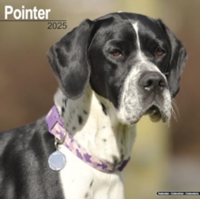 Pointer Calendar 2025 Square Dog Breed Wall Calendar - 16 Month