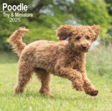 Poodle, Toy & Miniature Square Wall Calendar 2025