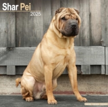 Shar Pei Calendar 2025 Square Dog Breed Wall Calendar - 16 Month