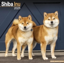 Shiba Inu Calendar 2025 Square Dog Breed Wall Calendar - 16 Month