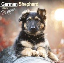 German Shepherd Puppies Calendar 2025 Square Dog Puppy Breed Wall Calendar - 16 Month