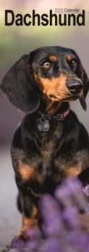 Dachshunds Slim Calendar 2025