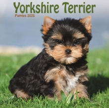 Yorkshire Terrier Puppies Square Mini Calendar 2025