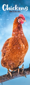 Avonside Publishing Ltd Chickens Slim Calendar 2026 Bird Slimline Calendar - 12 Month
