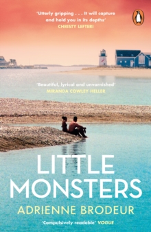 Little Monsters : PERFECT FOR FANS OF FLEISHMAN IS IN TROUBLE AND THE PAPER PALACE