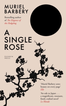 A Single Rose