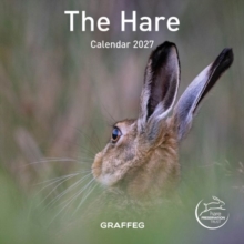 The Hare Calendar 2027 by Hare Preservation Trust 9781805952015 NEW - Image 6