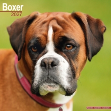 Boxer Wall