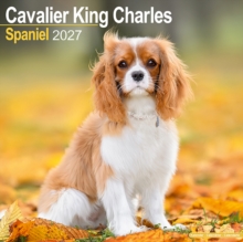 Cavalier King Charles Spaniel Wall
