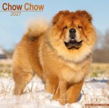 Chow Chow Avonside Publishing