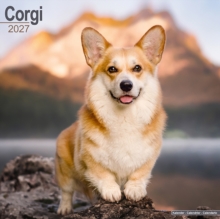 Corgi