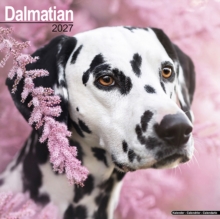 Dalmatian