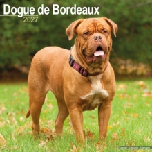 Dogue De Bordeaux Avonside Publishing
