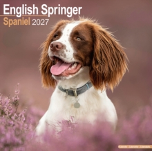 English Springer Spaniel Wall