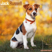 Jack Russell Wall