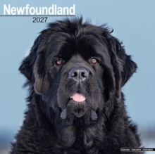 Newfoundland