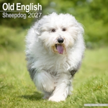 Old English Sheepdog