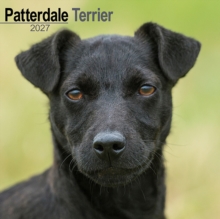 Patterdale Terrier