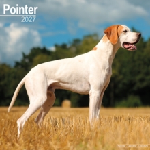 Pointer
