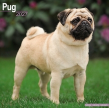 Pug Wall Avonside Publishing