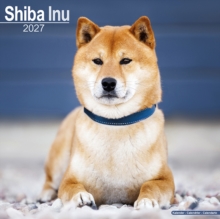 Shiba Inu