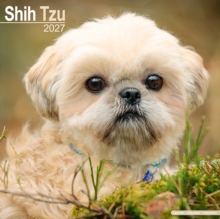 Shih Tzu Wall
