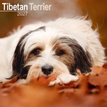 Tibetan Terrier