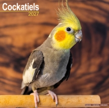 Cockatiels Avonside Publishing