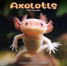 Axolotls