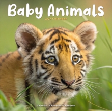 Baby Animals