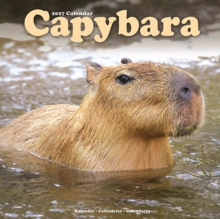 Capybara