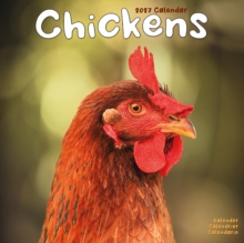 Chickens Wall
