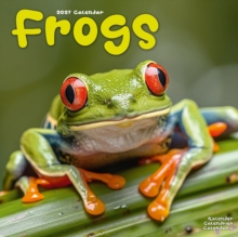 Frogs