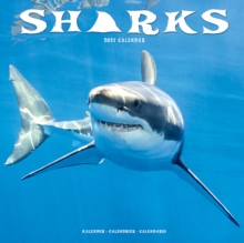 Sharks