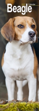Beagle Slim